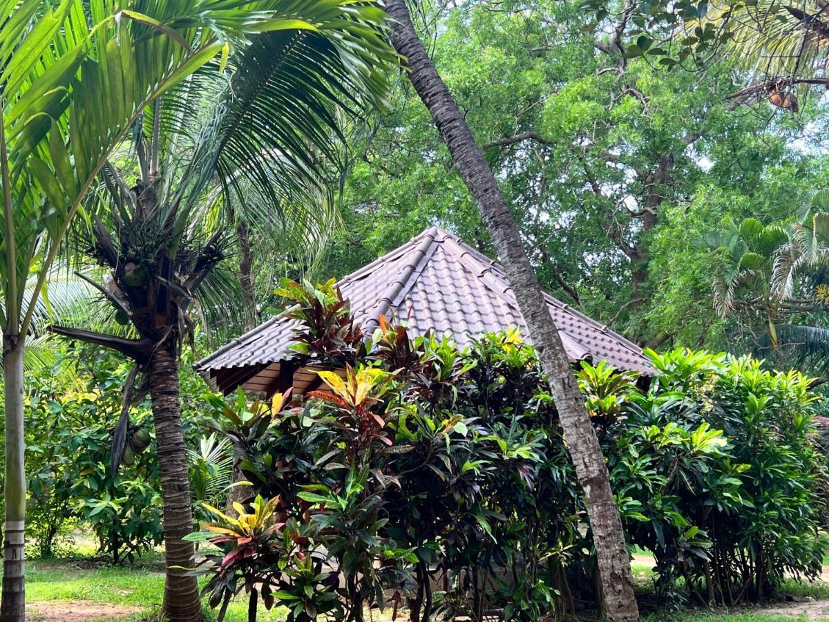 Gatetrees Jaffna