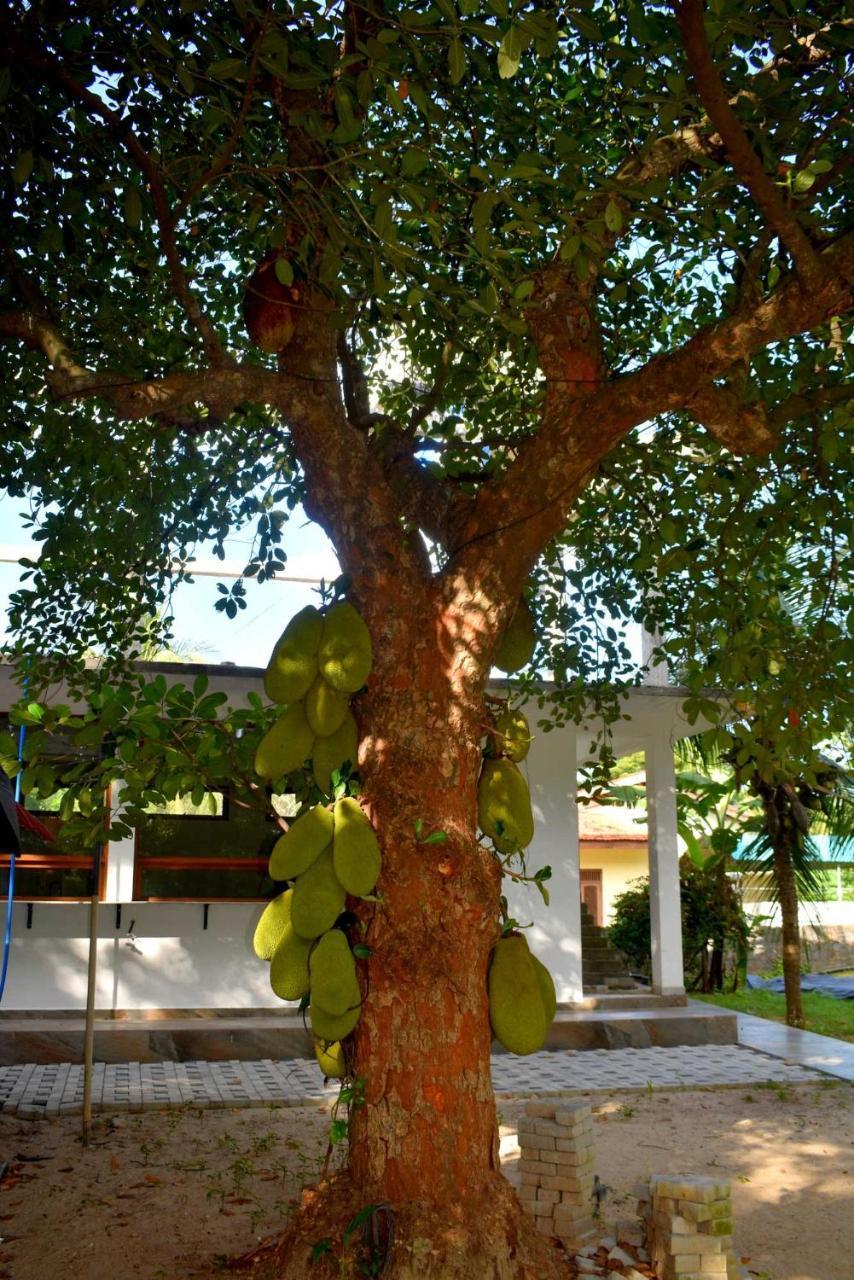 Guest house Gatetrees